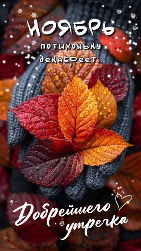 Красивые картинки Доброе утро ноября. Красивые картинки Доброе утро ноября