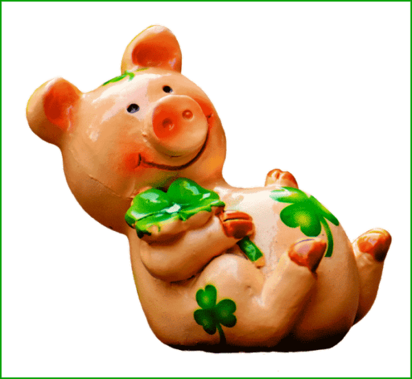 счастливая свинка