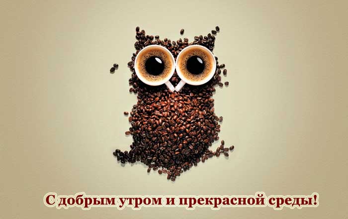 кофейная сова