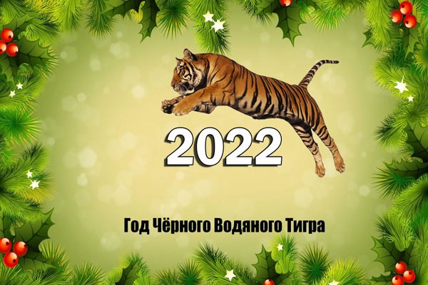тигр - символ 2022 года