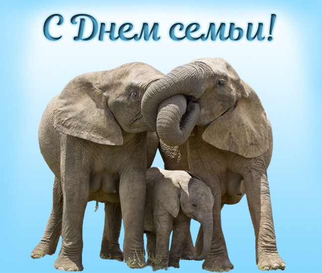 Открытка с Днем семьи со слонами