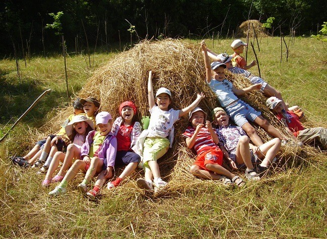 Стихи про лето в деревне для детей