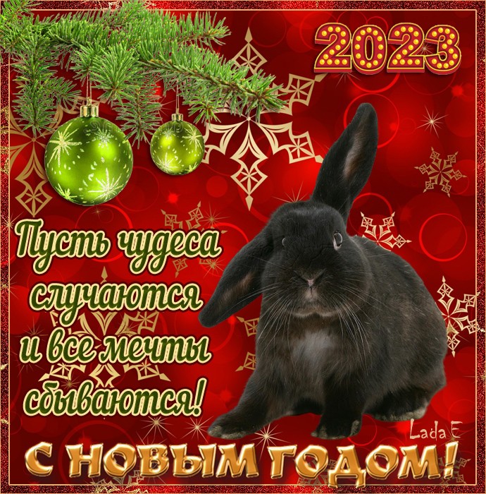 С НОвым годом - красивая открытка с черным Кроликом 